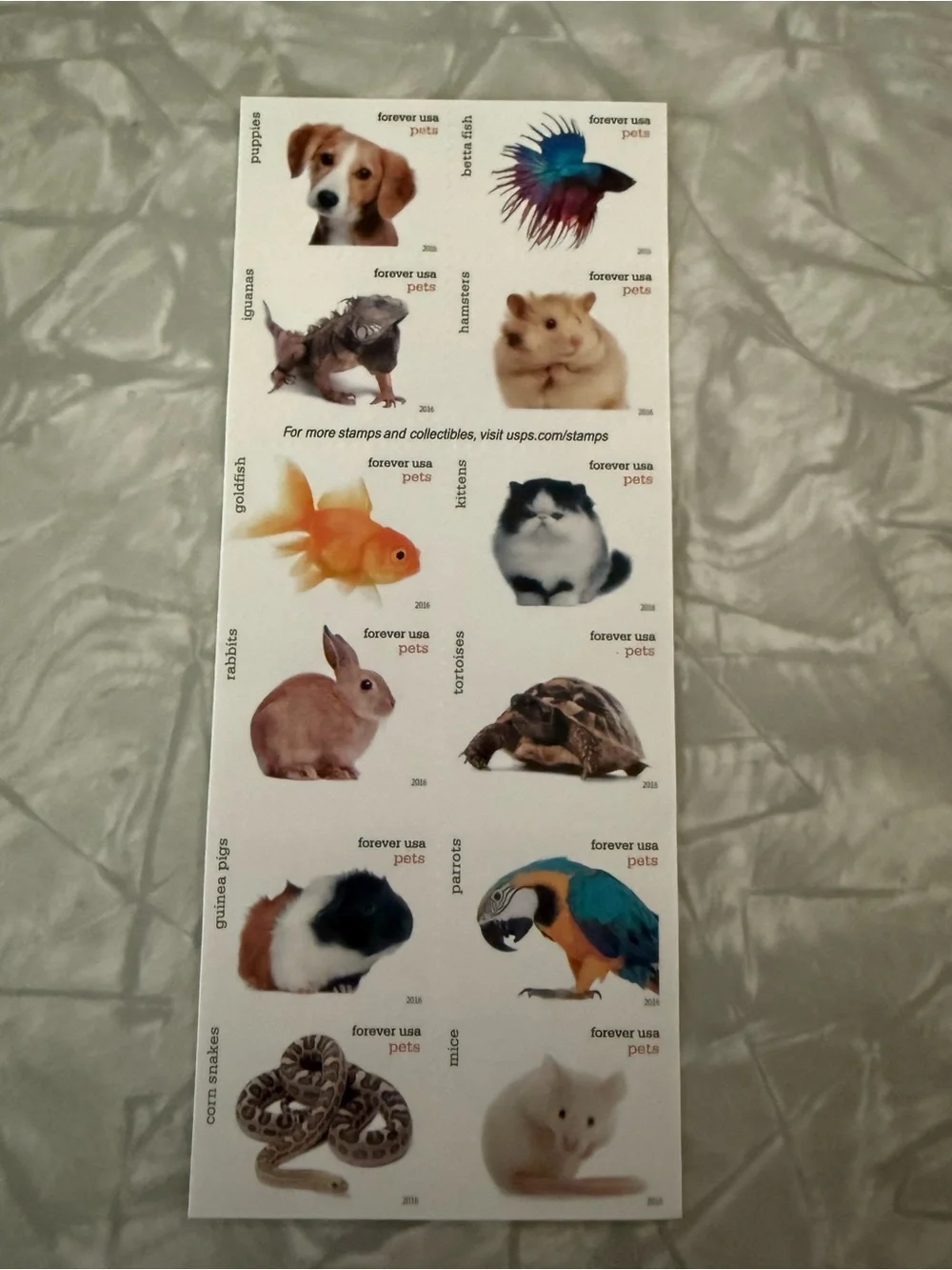 Pets Forever Stamps - White and Brown